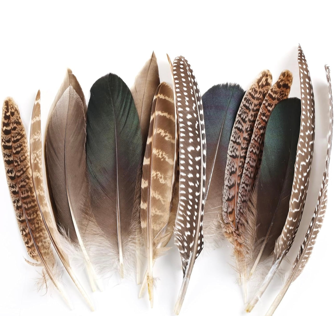 Feathers