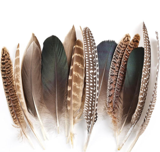 Feathers