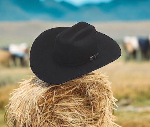 Ariat 6x Buckle Band Black