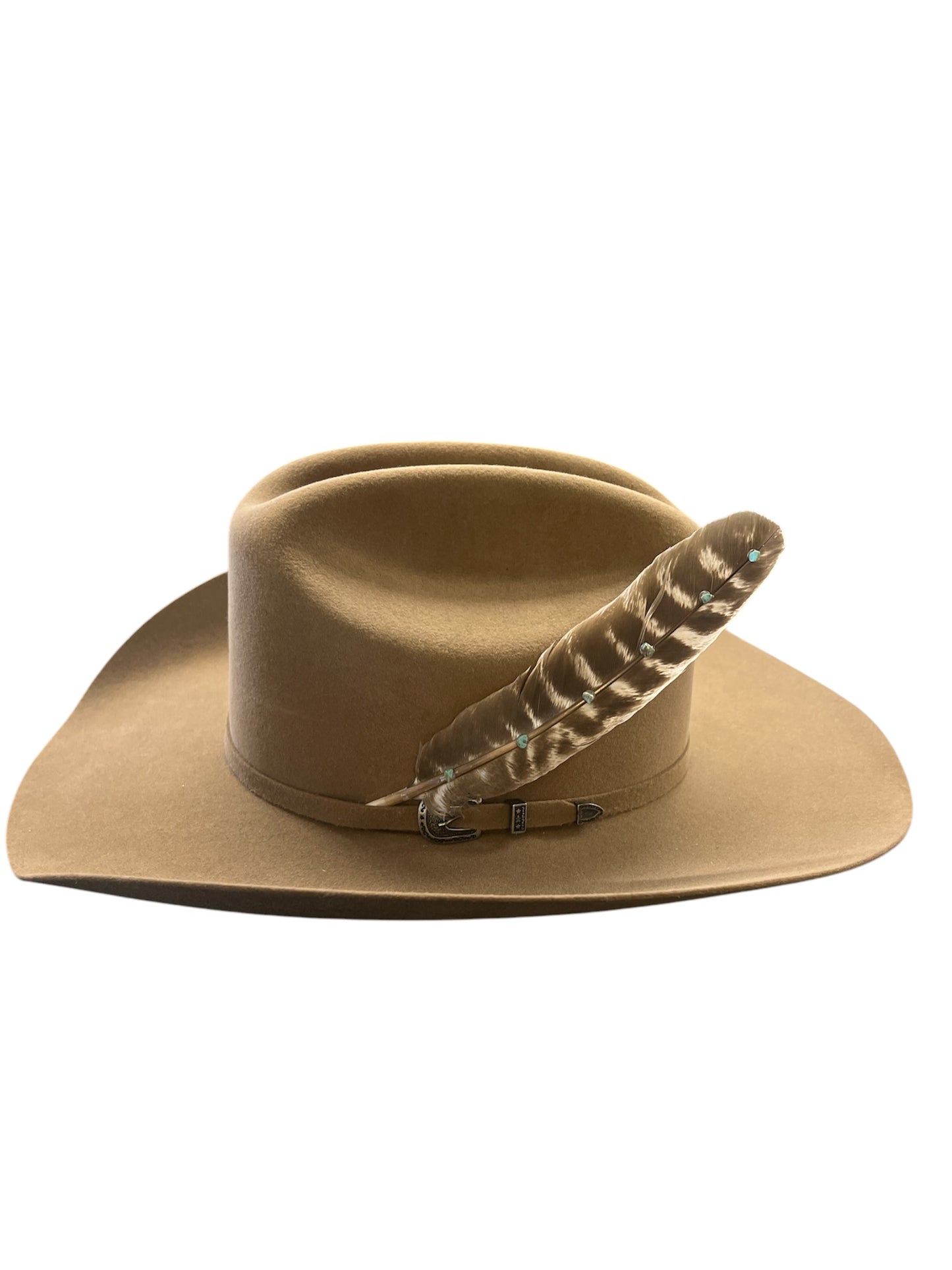 Turkey Turquoise Feather